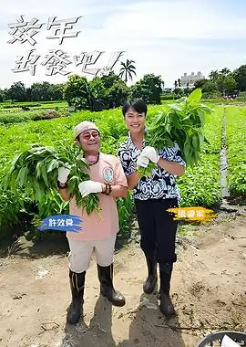 歌手 综艺封面